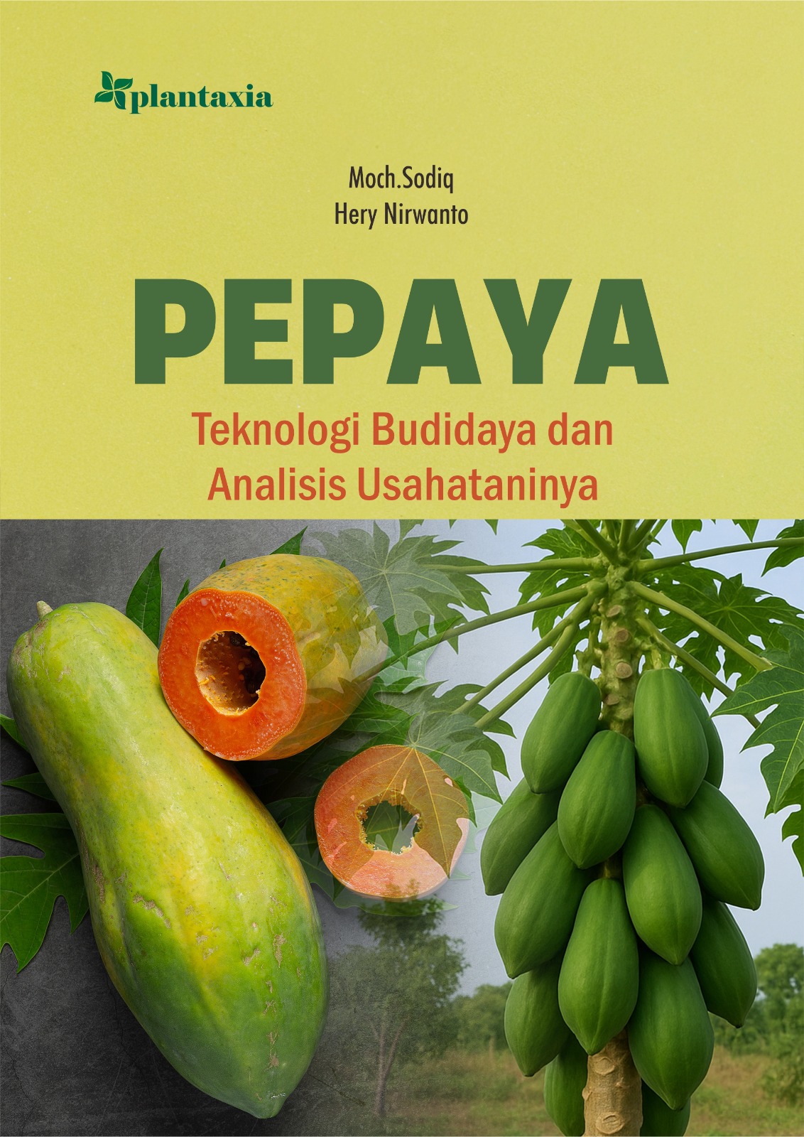 Sampul buku Pepaya; Teknologi Bu...