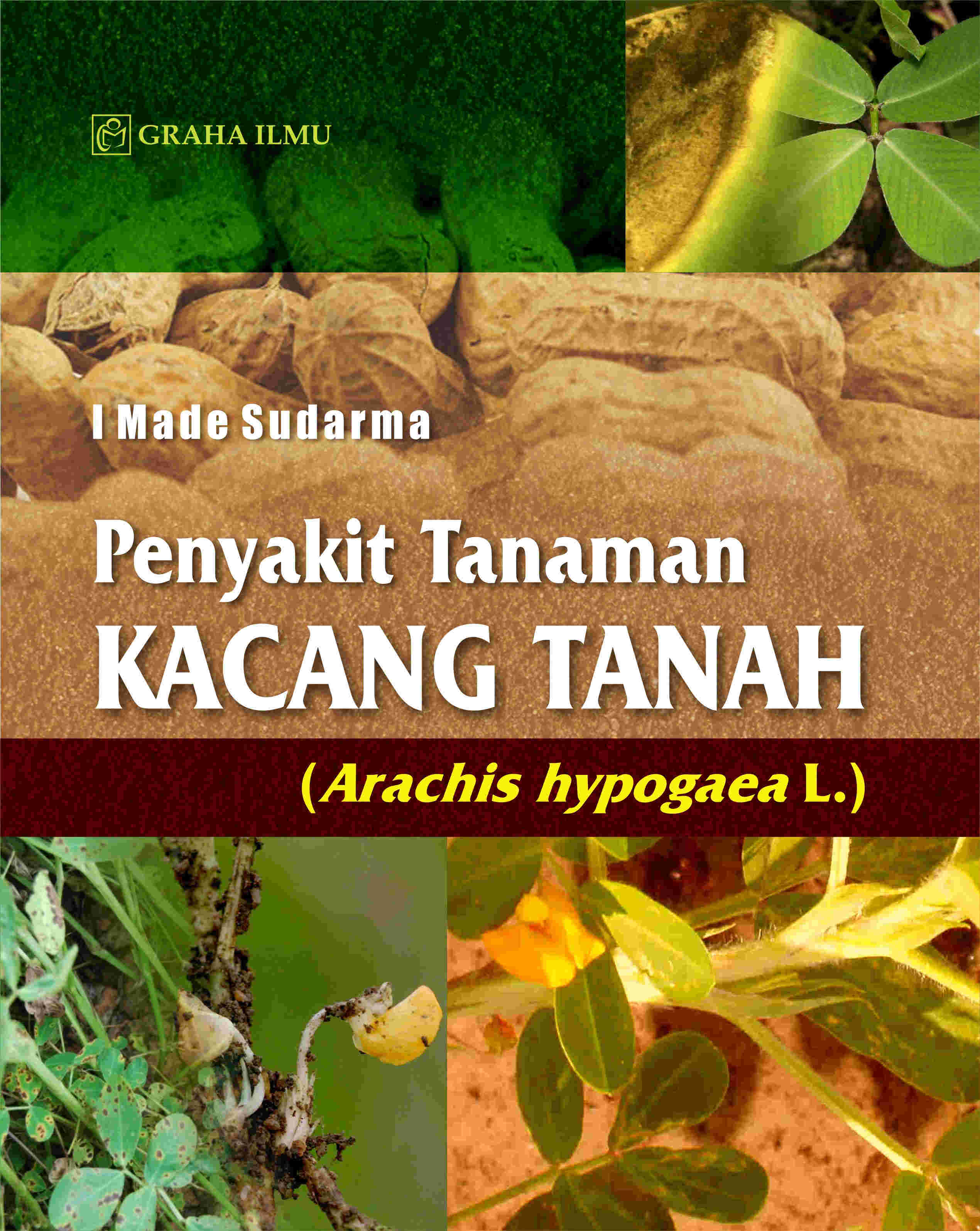Cover buku Penyakit Tanaman Kacang Tanah (Arachis hypogaea L)